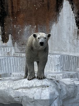 天王寺動物園に投稿された画像（2024/11/23）