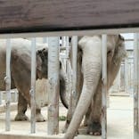 名古屋市東山動植物園に投稿された画像（2024/11/23）