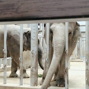 名古屋市東山動植物園に投稿された画像（2024/11/23）