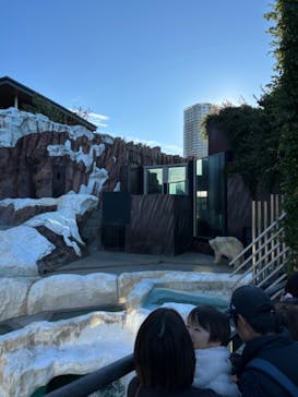 恩賜上野動物園に投稿された画像（2024/11/23）