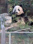 恩賜上野動物園に投稿された画像（2024/11/23）