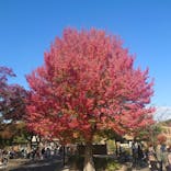 名古屋市東山動植物園に投稿された画像（2024/11/23）