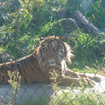 名古屋市東山動植物園に投稿された画像（2024/11/23）
