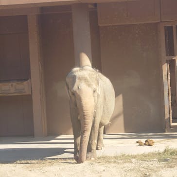 名古屋市東山動植物園に投稿された画像（2024/11/23）