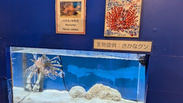 のとじま水族館に投稿された画像（2024/11/23）