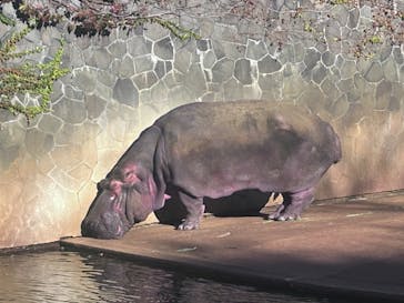 名古屋市東山動植物園に投稿された画像（2024/11/23）