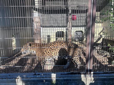 名古屋市東山動植物園に投稿された画像（2024/11/23）