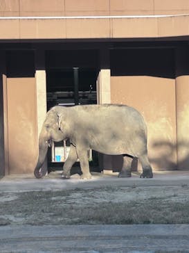 名古屋市東山動植物園に投稿された画像（2024/11/23）