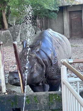 名古屋市東山動植物園に投稿された画像（2024/11/23）