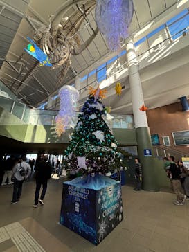アクアワールド茨城県大洗水族館に投稿された画像（2024/11/23）