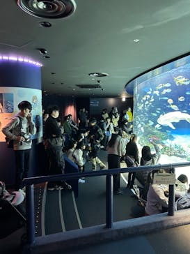 サンシャイン水族館に投稿された画像（2024/11/23）