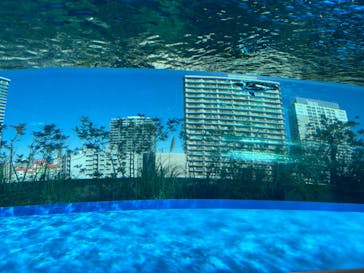 サンシャイン水族館に投稿された画像（2024/11/23）