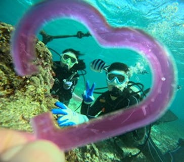 青の洞窟専門店　沖縄ダイビングショップ和に投稿された画像（2024/11/23）