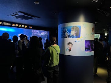 サンシャイン水族館に投稿された画像（2024/11/23）