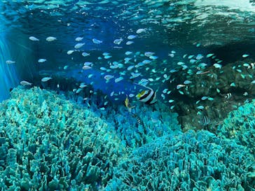 サンシャイン水族館に投稿された画像（2024/11/23）