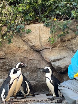 サンシャイン水族館に投稿された画像（2024/11/23）