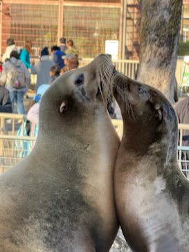 名古屋市東山動植物園に投稿された画像（2024/11/23）
