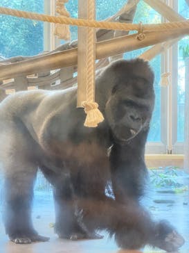 名古屋市東山動植物園に投稿された画像（2024/11/23）