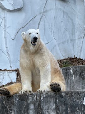 名古屋市東山動植物園に投稿された画像（2024/11/23）