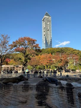 名古屋市東山動植物園に投稿された画像（2024/11/23）