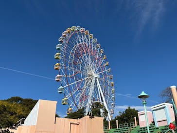 浜名湖パルパルに投稿された画像（2024/11/23）