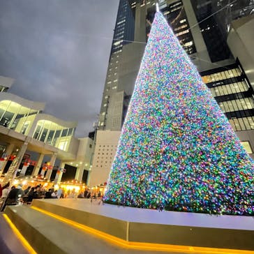 梅田スカイビル・空中庭園展望台に投稿された画像（2024/11/23）