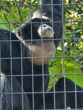 名古屋市東山動植物園に投稿された画像（2024/11/23）