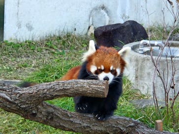 名古屋市東山動植物園に投稿された画像（2024/11/23）