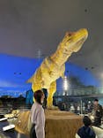 福井県立恐竜博物館に投稿された画像（2024/11/23）