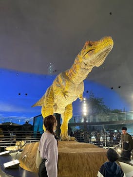 福井県立恐竜博物館に投稿された画像（2024/11/23）