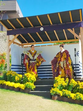 仙巌園に投稿された画像（2024/11/23）