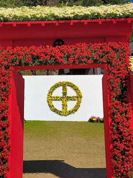 仙巌園に投稿された画像（2024/11/23）