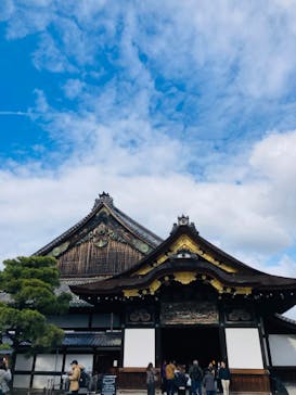 元離宮二条城に投稿された画像（2024/11/23）