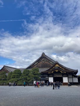 元離宮二条城に投稿された画像（2024/11/23）