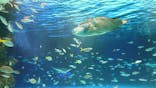 サンシャイン水族館に投稿された画像（2024/11/23）