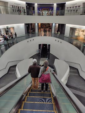 福井県立恐竜博物館に投稿された画像（2024/11/23）