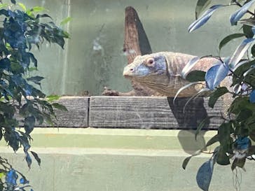 名古屋市東山動植物園に投稿された画像（2024/11/23）