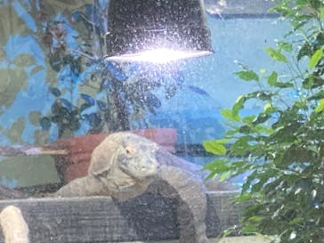 名古屋市東山動植物園に投稿された画像（2024/11/23）