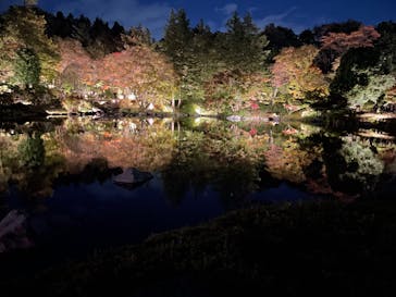 国営昭和記念公園 秋の夜散歩に投稿された画像（2024/11/23）