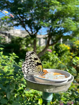 多摩動物公園に投稿された画像（2024/11/23）