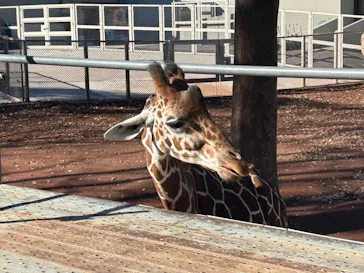 多摩動物公園に投稿された画像（2024/11/23）