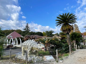 伊豆ぐらんぱる公園に投稿された画像（2024/11/23）