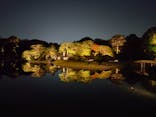 六義園に投稿された画像（2024/11/23）