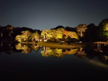 六義園に投稿された画像（2024/11/23）