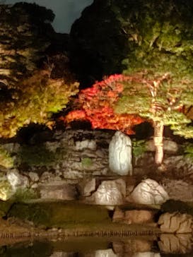 六義園に投稿された画像（2024/11/23）