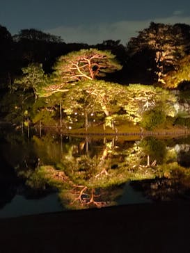 六義園に投稿された画像（2024/11/23）