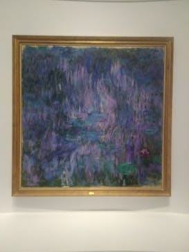 モネ 睡蓮のとき（国立西洋美術館）に投稿された画像（2024/11/23）