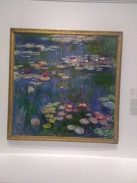 モネ 睡蓮のとき（国立西洋美術館）に投稿された画像（2024/11/23）