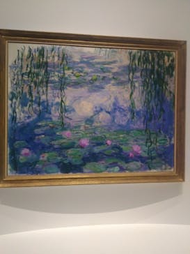 モネ 睡蓮のとき（国立西洋美術館）に投稿された画像（2024/11/23）