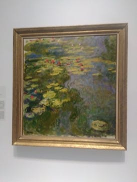 モネ 睡蓮のとき（国立西洋美術館）に投稿された画像（2024/11/23）